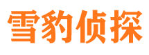 巩义市调查公司